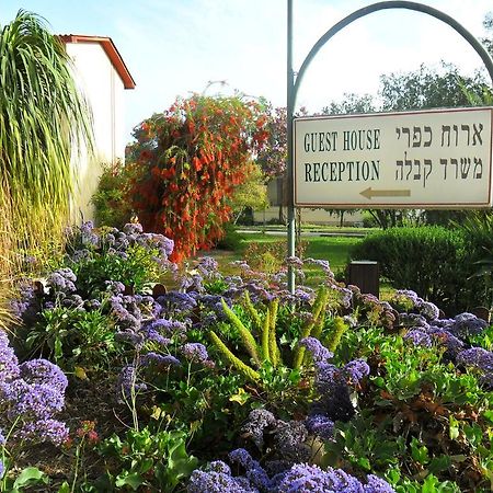Ein Zurim Guest House 'En Zurim Kültér fotó