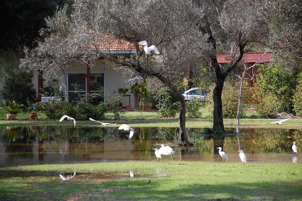 Ein Zurim Guest House 'En Zurim Kültér fotó